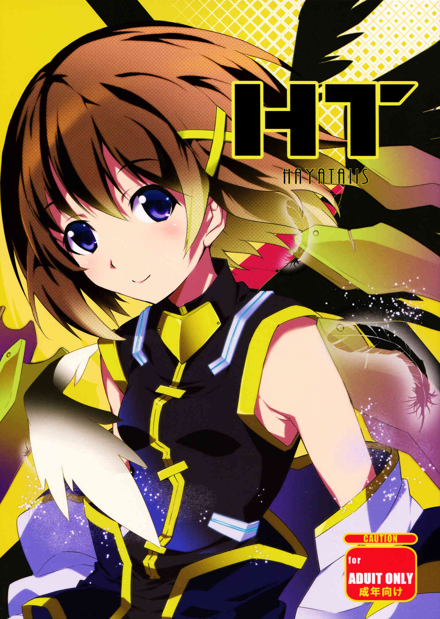 [なのはの同人誌]不具合の影響で正常に状況判断できないはやてを仕方なく抱いてみた（真剣）