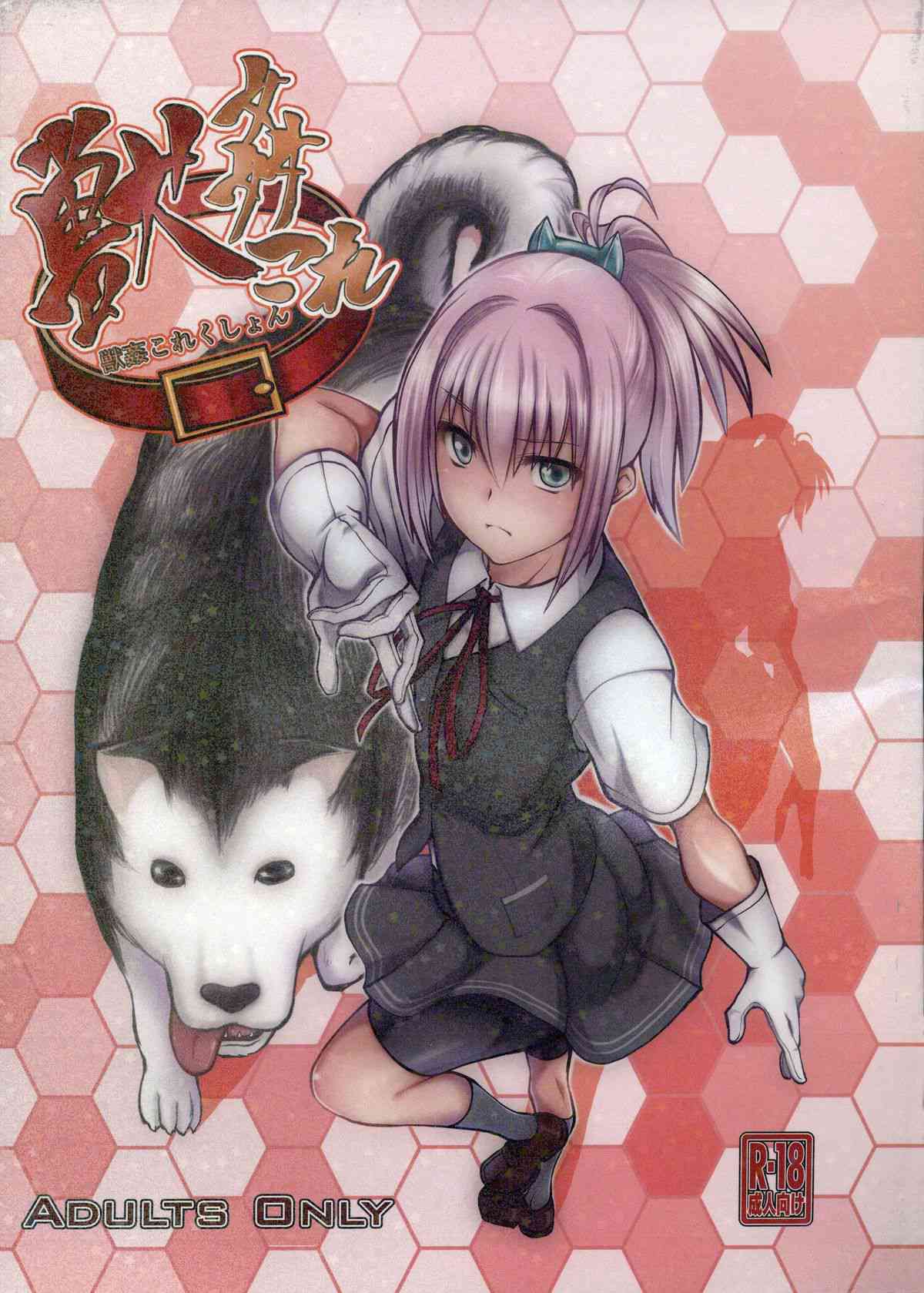 [艦これの同人誌]不知火や愛宕たち艦娘が、盛りのついたワンちゃんからたっぷり犯されます！犬ちんぽで盛大にヨガりまくり、荒々しく犯される淫らな美少女たち！